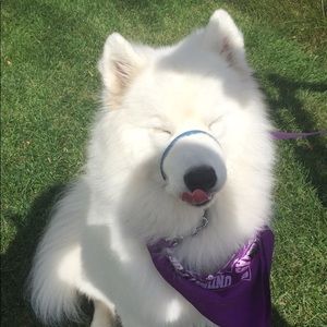 Meet your Posher, Mallory